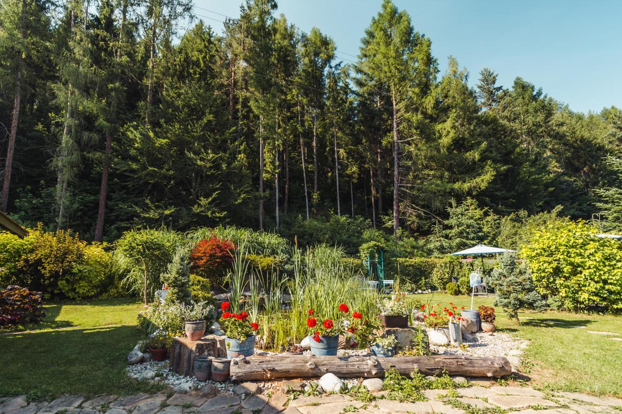 Apartamenty Zielona Owieczka Замок Нидзица Экстерьер фото
